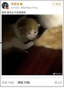 娱乐吃瓜酱小动物视频大全,趣味十足!小动物吃瓜视频大盘点